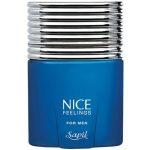 ادکلن نایس آبی Nice - مردانه - درجه یک - حجم 75 میلی لیتر