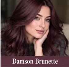 رنگ مو دامسون براون؛ Damson Brunette